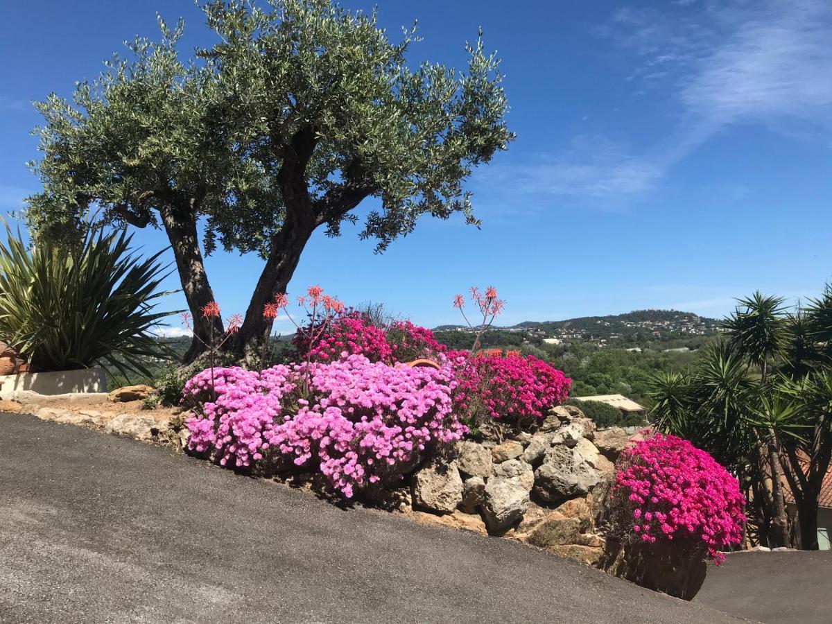 3 Bedrooms Villa Near Cannes - Pool & Jacuzzi - Sea View Mandelieu-La Napoule Exterior photo